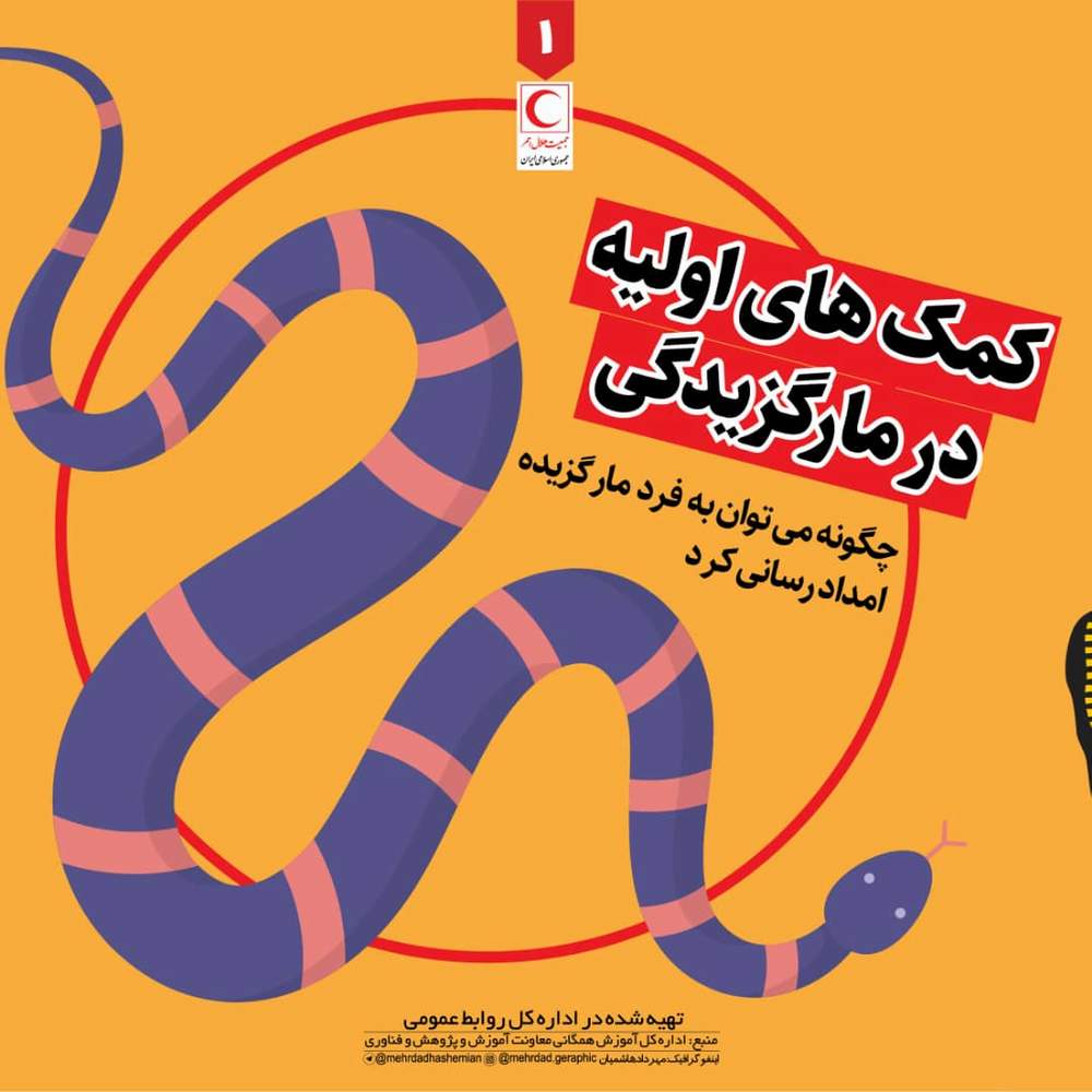 چگونه میتوان به فرد مارگزیده امدادرسانی کرد